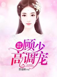 高调宠妻全文