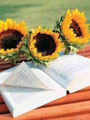 我的青春谁做主李霹雳扮演者