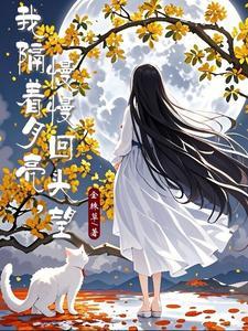 隔着月亮在想你古诗