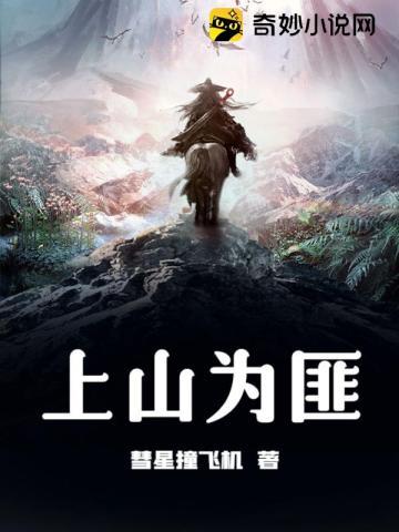 上山为匪TXT资源